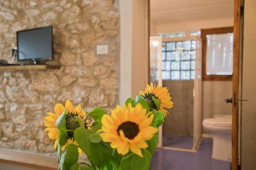 Agroturismo Podere Campriano