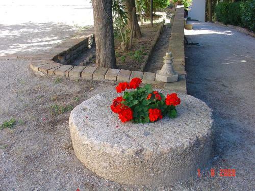 Agroturismo Fattoria Casanova