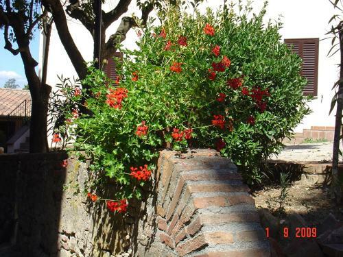 Agroturismo Fattoria Casanova