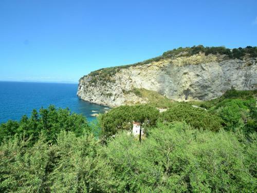 Montano