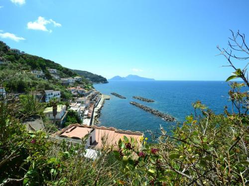 Montano