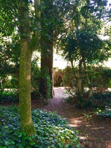 Bed & Breakfast Le Jardin Suspendu