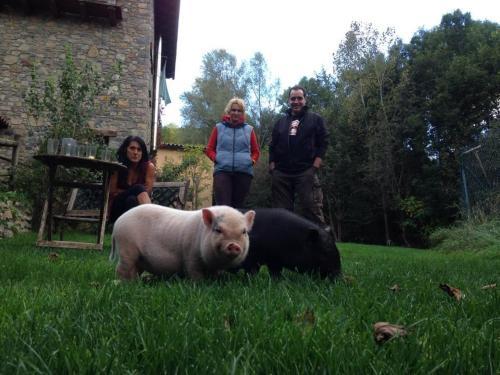 Agroturismo Els Torrents