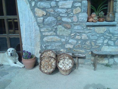 Agroturismo Els Torrents