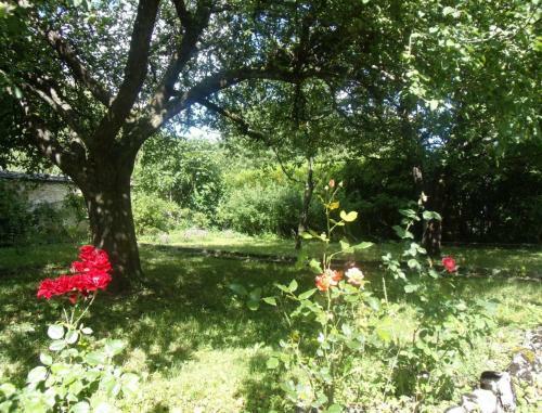 Bed & Breakfast Le Grand Jardin