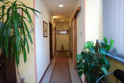 Hotel La Pergoletta