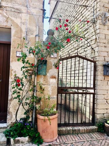 Hostal Notti Etrusche A Sovana