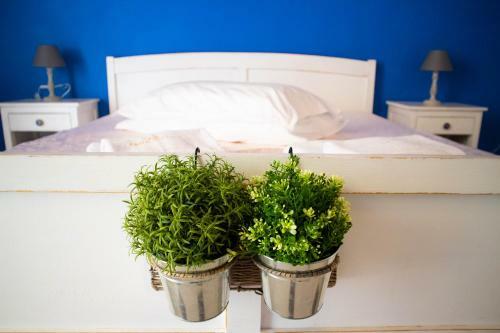 Bed & Breakfast Terra Del Sole