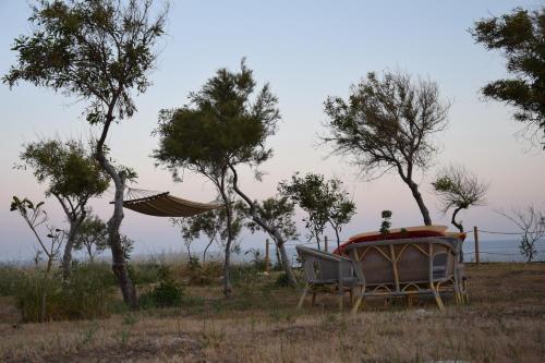 Camping La Roccia