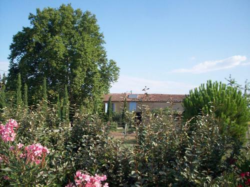 Bed & Breakfast Mas Du Puits D'amour