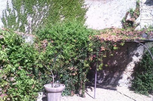 Bed & Breakfast Mas Du Puits D'amour