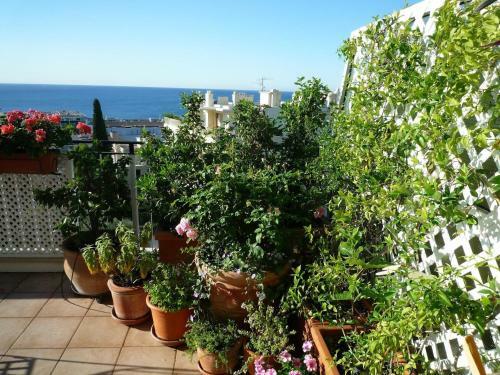 Apartamento Appartement Baie Des Anges