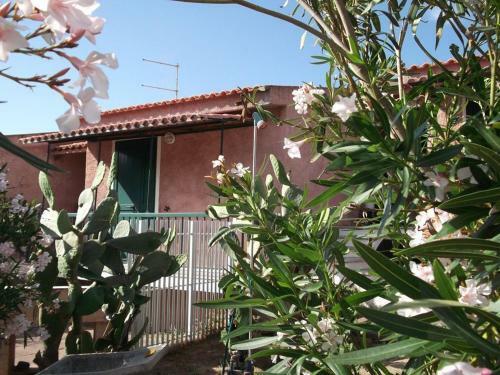 Apartamento Appartamenti La Pineta