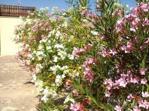 Apartamento Il Terrazzo Di Oleandri