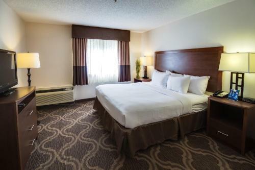 Motel Ashmore Inn And Suites Lubbock