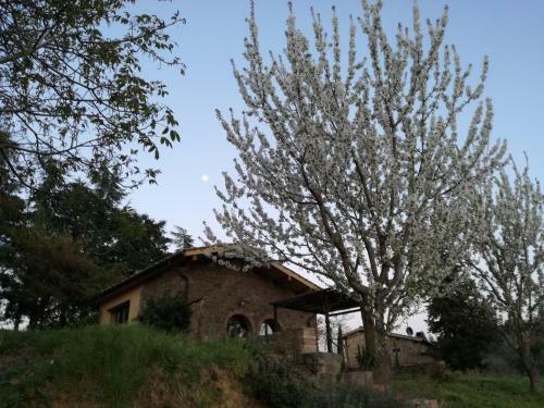Agroturismo Podere Le Muricce