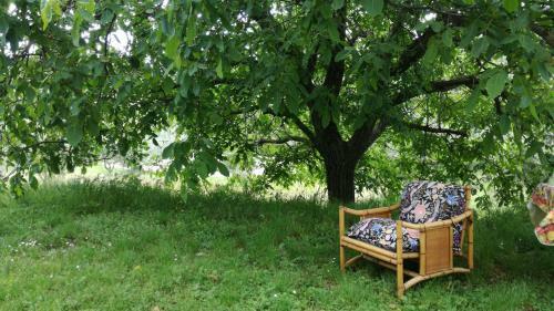 Agroturismo Podere Le Muricce