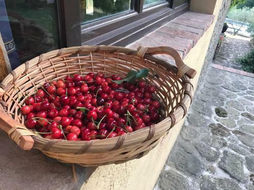Agroturismo Podere Le Muricce