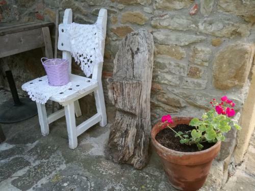 Agroturismo Podere Le Muricce