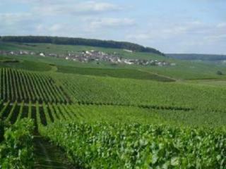 Bed & Breakfast Chambre D'h�tes Les Epicuriens