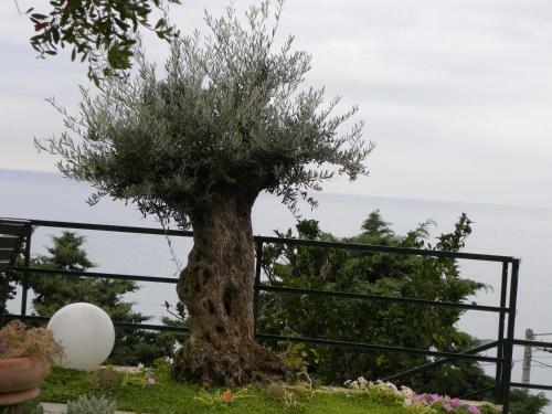 Bed & Breakfast Corte Del Gallo