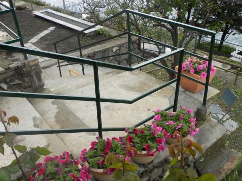 Bed & Breakfast Corte Del Gallo