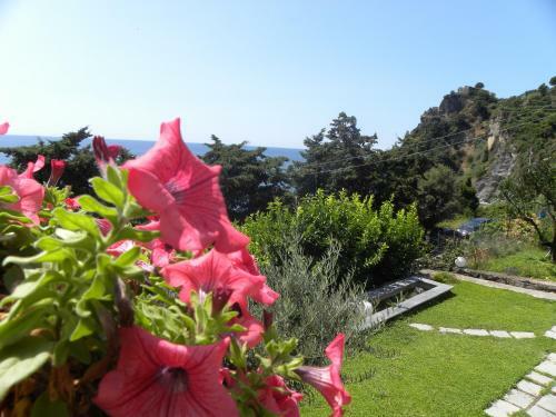 Bed & Breakfast Corte Del Gallo