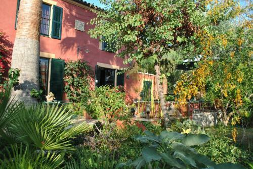 Bed & Breakfast Sous L'olivier