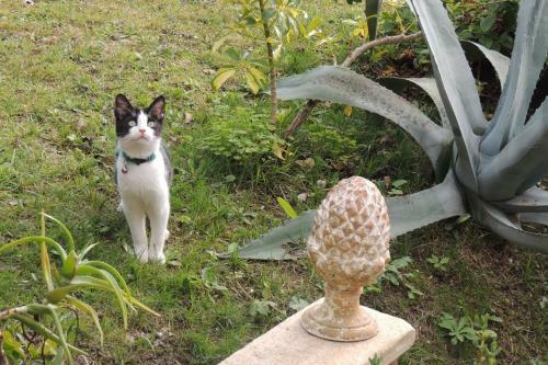 Bed & Breakfast Sous L'olivier