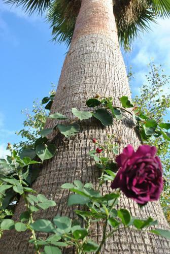 Bed & Breakfast Sous L'olivier