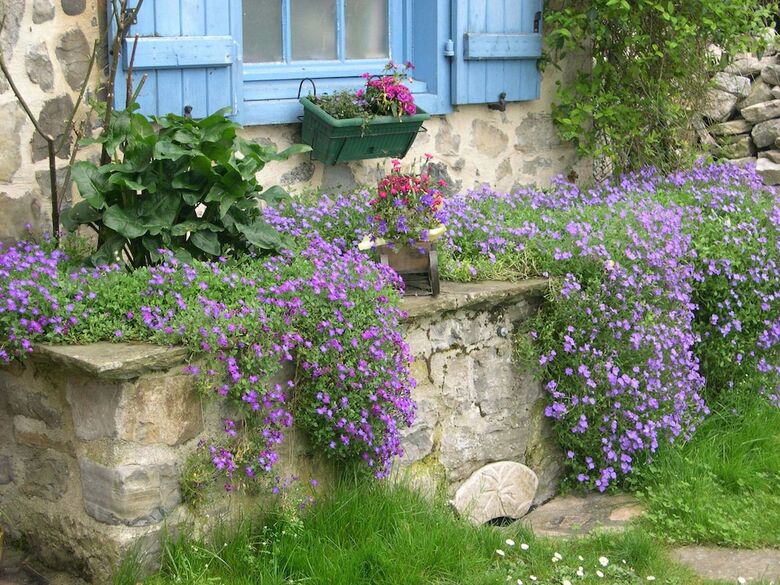 Bed & Breakfast Amphitryon