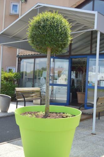 P'tit Dej Hotel Macon Sud (ex: Akena M�con Sud)
