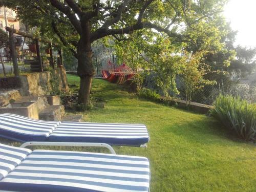 Apartamento Casa Palmira