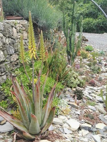 Agroturismo Terre Di Garlenda