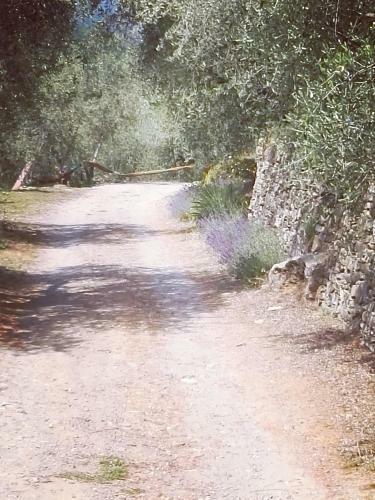 Agroturismo Terre Di Garlenda