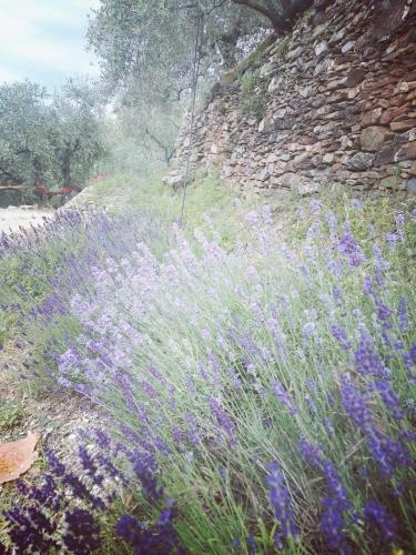 Agroturismo Terre Di Garlenda