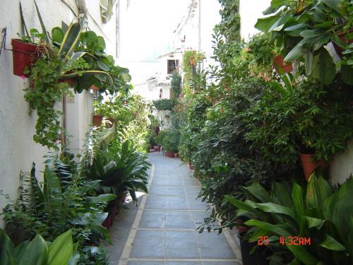 Agroturismo Ruralguejar