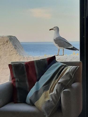 Villa Troc Pinell