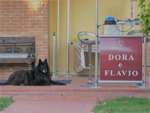 B&B Dora E Flavio