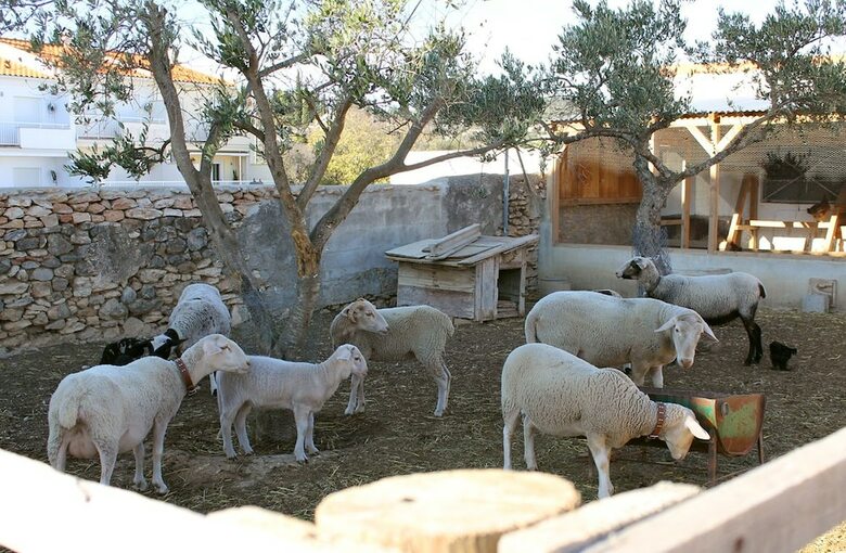 Casa Rural L�americ�