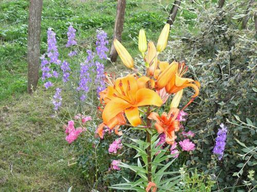 Bed & Breakfast Chambres D'h�tes Des Caissons