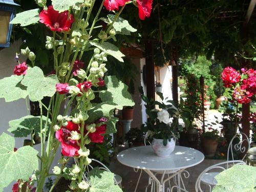 Bed & Breakfast Chambres D'h�tes Des Caissons
