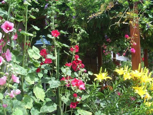 Bed & Breakfast Chambres D'h�tes Des Caissons