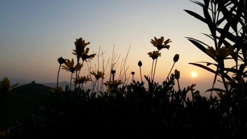 Agroturismo Villa Ciabot Nogaris