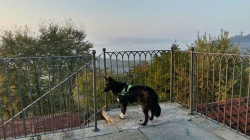Agroturismo Villa Ciabot Nogaris