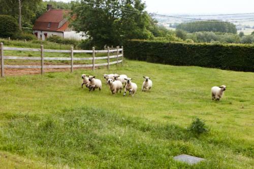 Vacation Home Landgoed De Monteberg