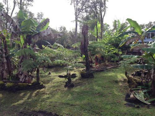 Agroturismo Ixchel Hawaii Volcano