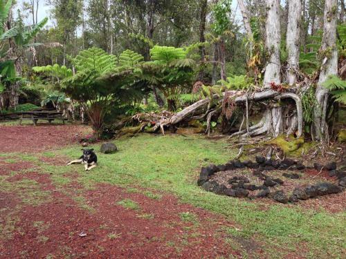 Agroturismo Ixchel Hawaii Volcano