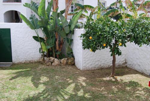 Apartamento Benavista Estepona