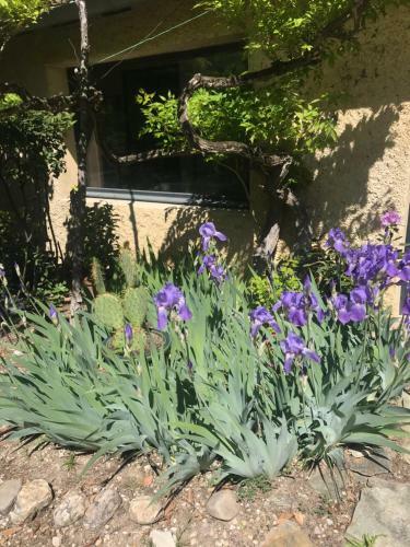 Bed & Breakfast Les Montades Chambres D'h�tes